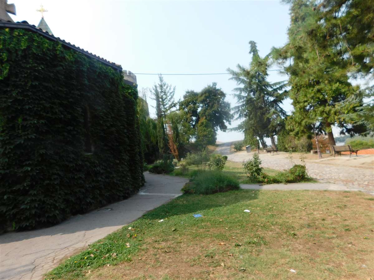 DSCN0063
