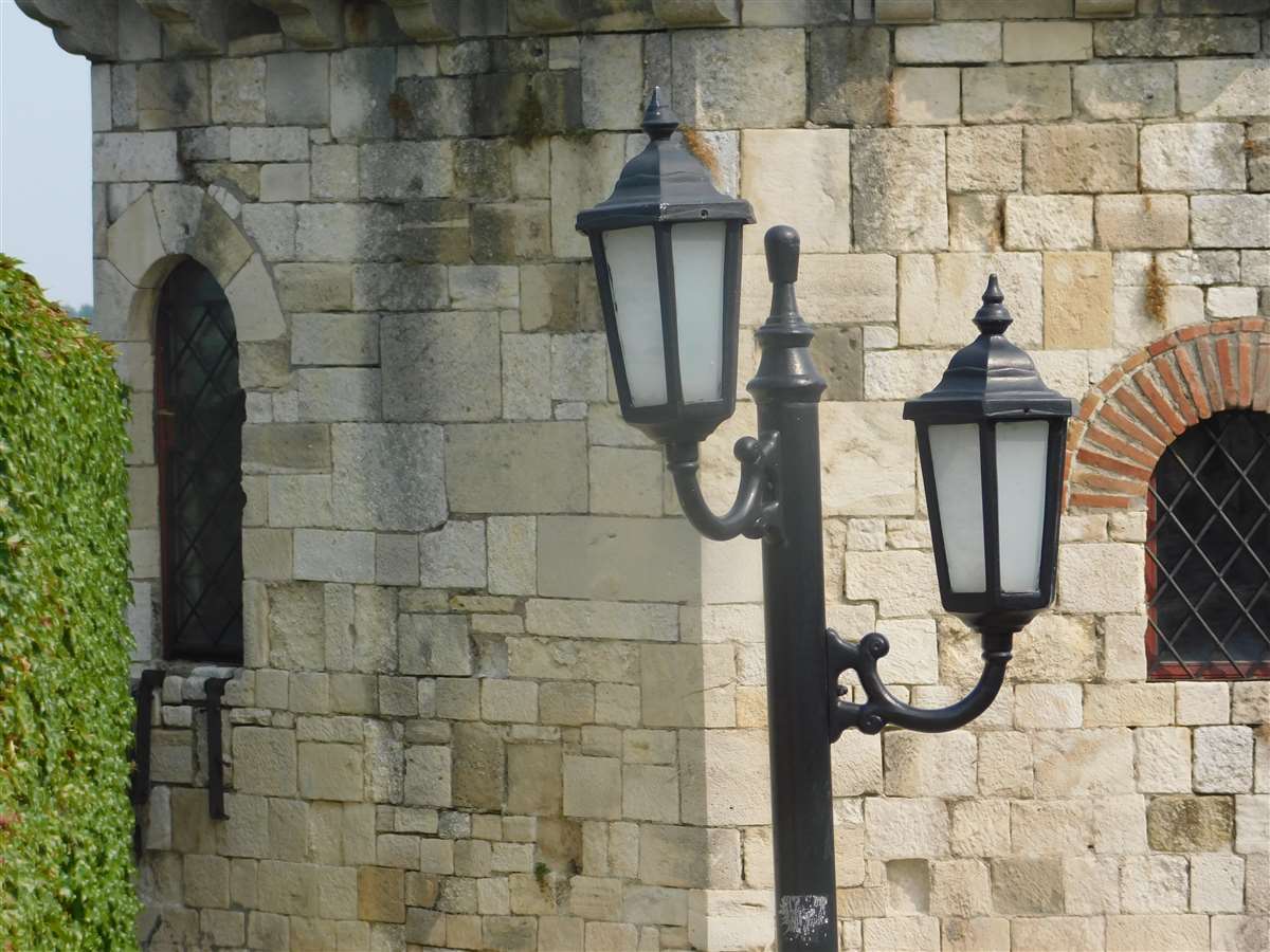 DSCN0061